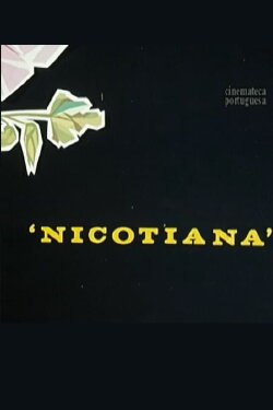 Nicotiana (1964)