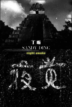 Night Awake (2016)