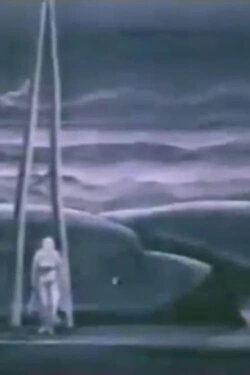 Night Bird (1975)