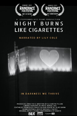 Night Burns Like Cigarettes (2022) Night Burns Like Cigarettes (2022)