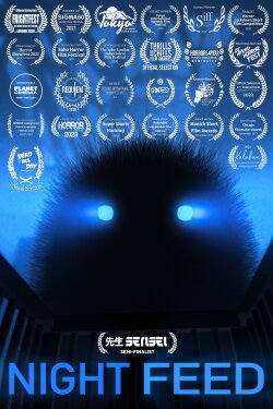 Night Feed (2020) Night Feed (2020)