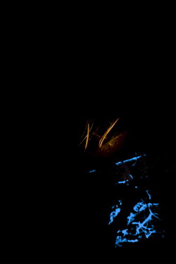 Night Fire (2021) Night Fire (2021)