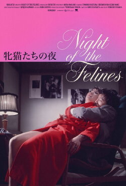 Night of the Felines (1972) Night of the Felines (1972)