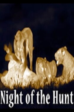 Night of the Hunt (2011) Night of the Hunt (2011)