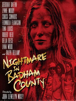 Nightmare in Badham County (1976) Nightmare in Badham County (1976)