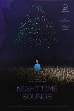 Nighttime Sounds (2025)