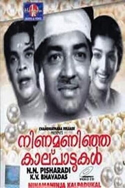 Ninamanija Kalpadukal (1963) Ninamanija Kalpadukal (1963)