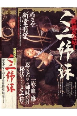 Ninja Bondage Chronicle 2: Ninja Sisters (1994) Ninja Bondage Chronicle 2: Ninja Sisters (1994)