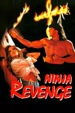 Ninja Vengeance (1993) Ninja Vengeance (1993)