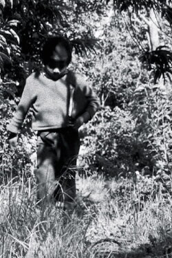 Niños (1974) Niños (1974)