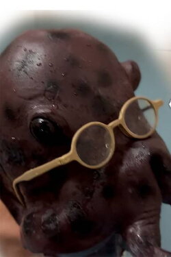 Nipple Hot Springs: The Octopus' Gratitude (2023) Nipple Hot Springs: The Octopus' Gratitude (2023)