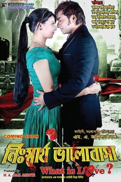 Nisshartho Bhalobasha: What Is Love! (2013)