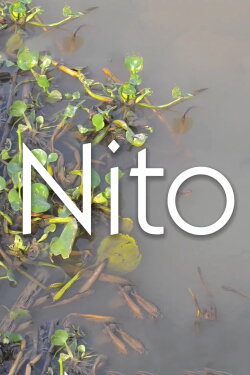 Nito (2023) Nito (2023)