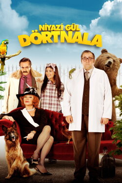 Niyazi Gül Dörtnala (2015) Niyazi Gül Dörtnala (2015)