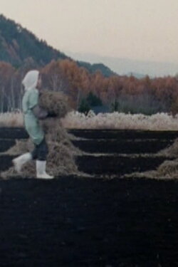 NО̄ (2003)