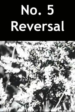 No. 5 Reversal (1989) No. 5 Reversal (1989)
