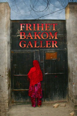 No Burqas Behind Bars (2013)