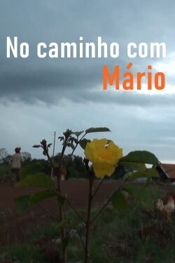 No Caminho com Mário (2014) No Caminho com Mário (2014)