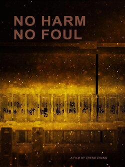 No Harm No Foul (2017)