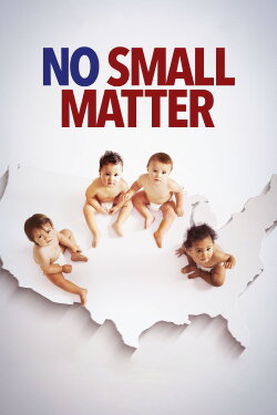 No Small Matter (2019) No Small Matter (2019)