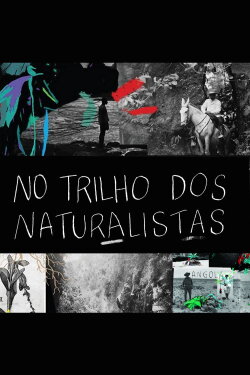 No Trilho dos Naturalistas: Angola (2016) No Trilho dos Naturalistas: Angola (2016)