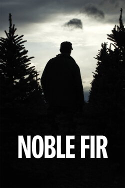 Noble Fir (2014) Noble Fir (2014)