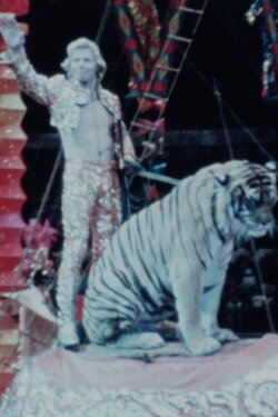 Noblesse Oblige (1981) Noblesse Oblige (1981)