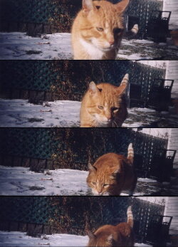 Nobody Knows (2002)