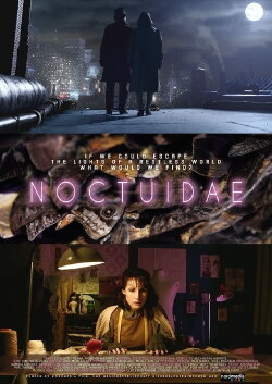 Noctuidae (2021)