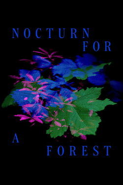 Nocturne for a Forest (2023)