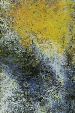 Nocturne no.248 (2008)