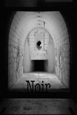 Noir (2023) Noir (2023)