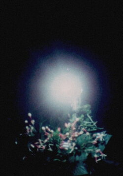 Noise (1972) Noise (1972)