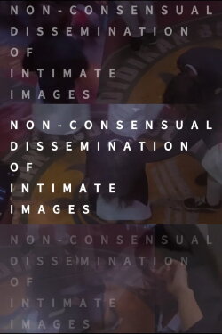 Non-consensual Dissemination of Intimate Images (2023) Non-consensual Dissemination of Intimate Images (2023)