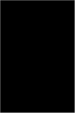 Test (2023) Test (2023)