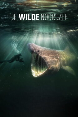 North Sea – Nature Untamed (2024)