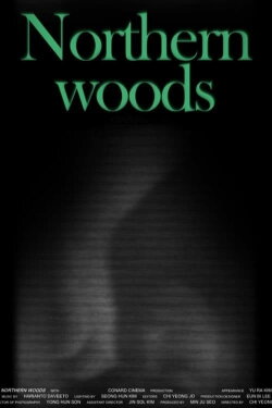 Northern Woods (2019) Northern Woods (2019)