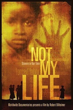 Not My Life (2011) Not My Life (2011)