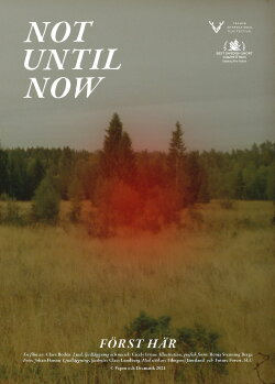 Not Until Now (2021)