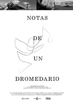 Notes from a Dromedary (2022)