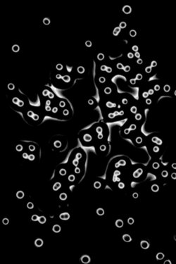 Notes from the subsurface (2020) Notes from the subsurface (2020)