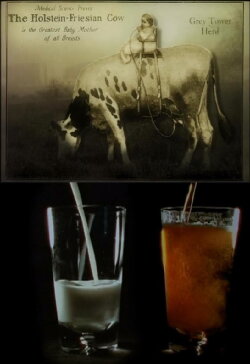 Notes on Milk (2007)