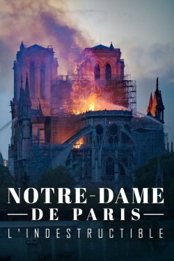 Notre-Dame de Paris, l'indestructible (2020) Notre-Dame de Paris, l'indestructible (2020)