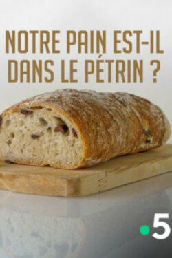 Notre pain est-il dans le pétrin ? (2017)