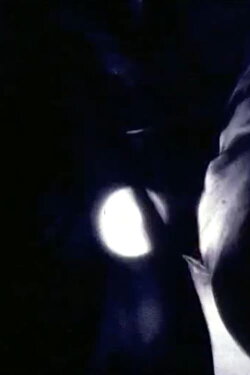 Notte veloce (1980) Notte veloce (1980)