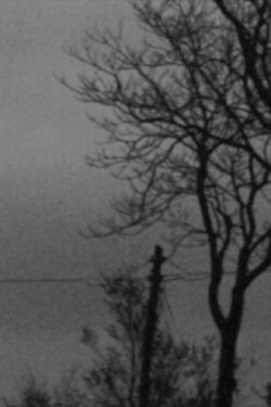 Notturno (2009)