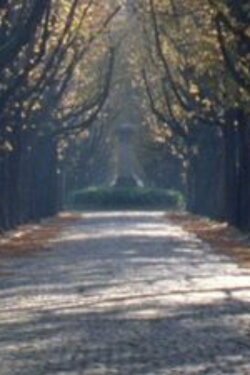 Nous sommes revenus dans l'allée des marronniers (2012) Nous sommes revenus dans l'allée des marronniers (2012)