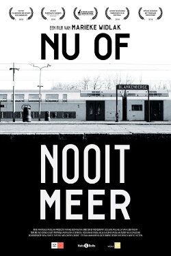 Now or Never Again (2018)