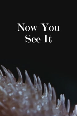 Now You See It (1947) Now You See It (1947)