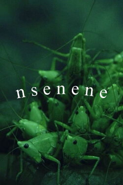 Nsenene (2021) Nsenene (2021)